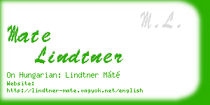 mate lindtner business card