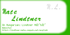 mate lindtner business card
